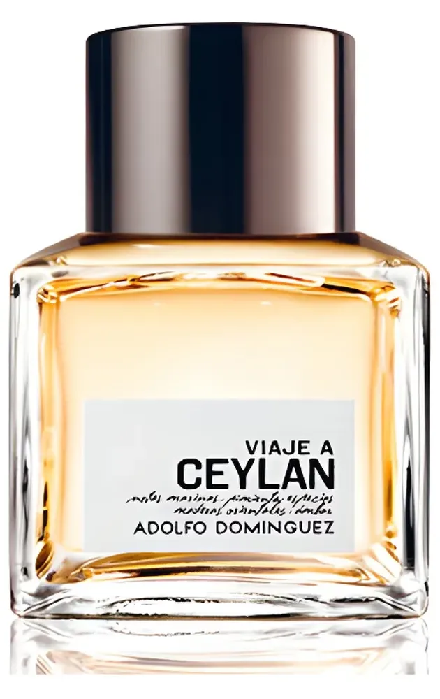 Adolfo Dominguez Viaje a Ceylan Hombre