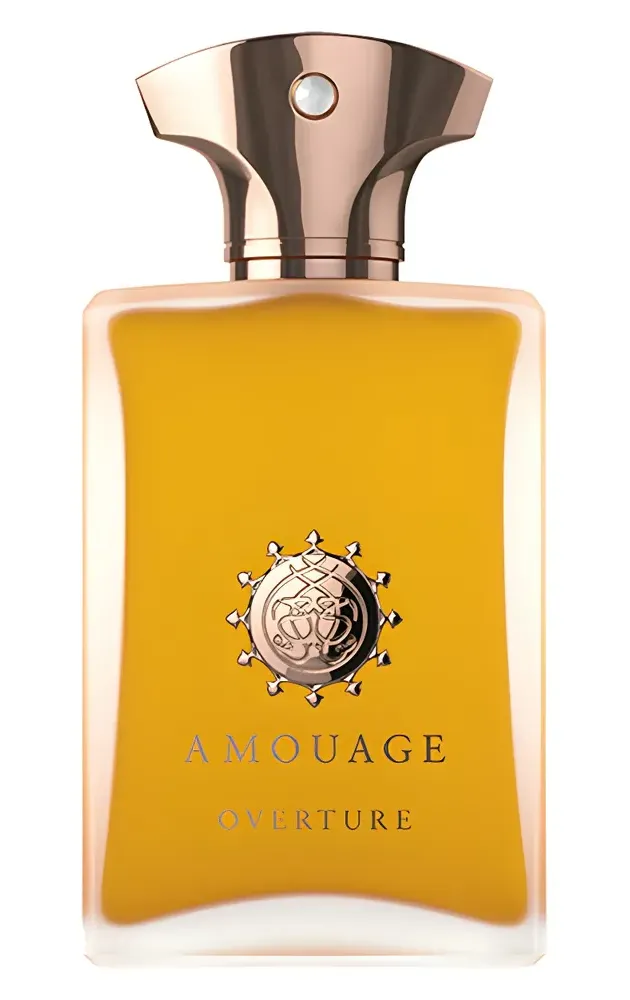 Amouage Overture Man