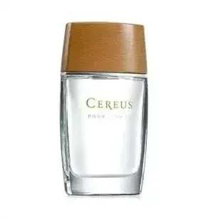 Angela Flanders Ambre Noire