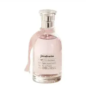 Anna Zworykina Dissolution