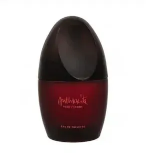 Arabian Eagle Black Amber