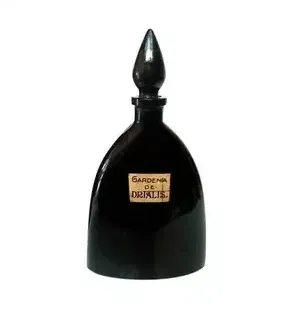 Astrophil & Stella Shanghai