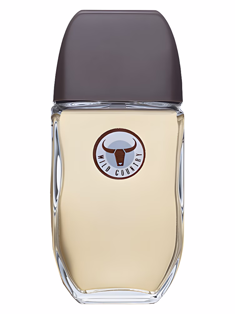 Avon Corvette - Wild Country