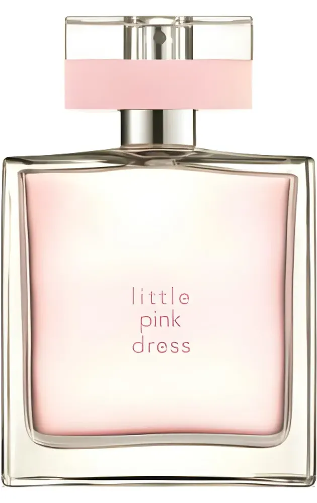 Avon Little Pink Dress