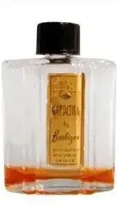 Baug Sons Beyond Beauty