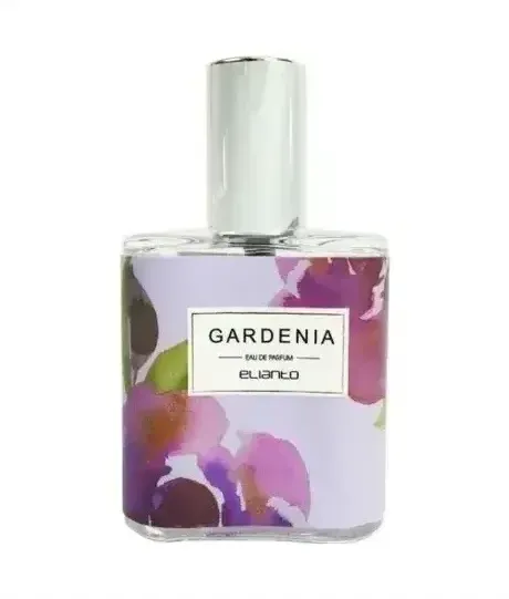 Bottega Veneta Illusione Tonka Solaire