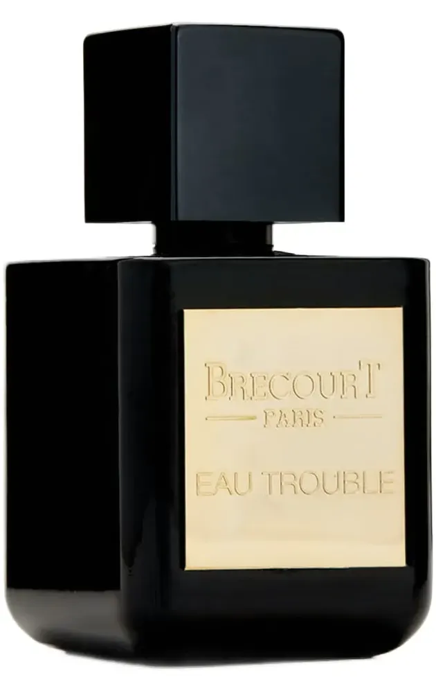 Brecourt Eau Trouble