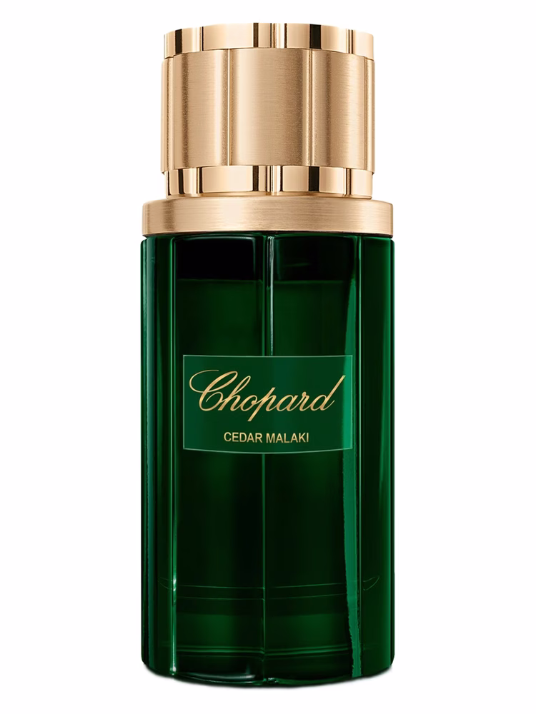 Chopard Cedar Malaki