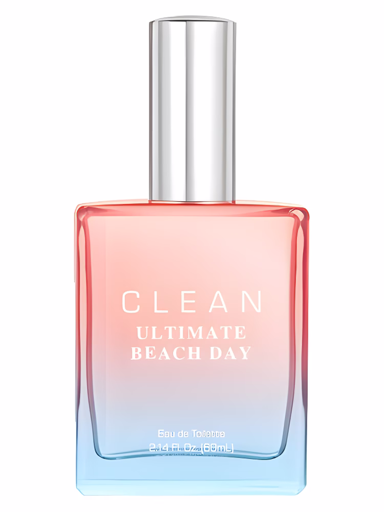 Clean Ultimate Beach Day