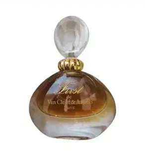 Coach Limited Edition