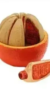 Coscentra Dream Choice