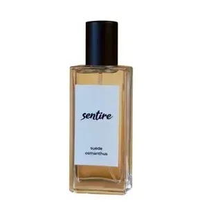 David Beckham Infinite Aqua