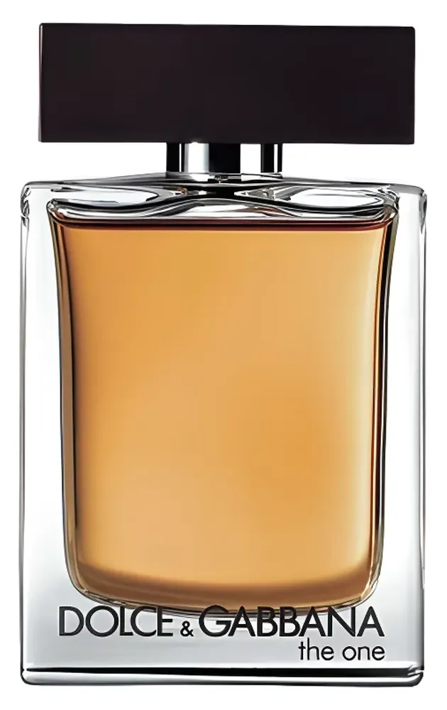 Dolce Gabbana The One for Men