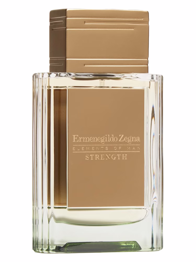 Ermenegildo Zegna Elements of Man - Strength