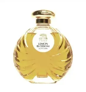 Fendi Asja Fendi Parfum