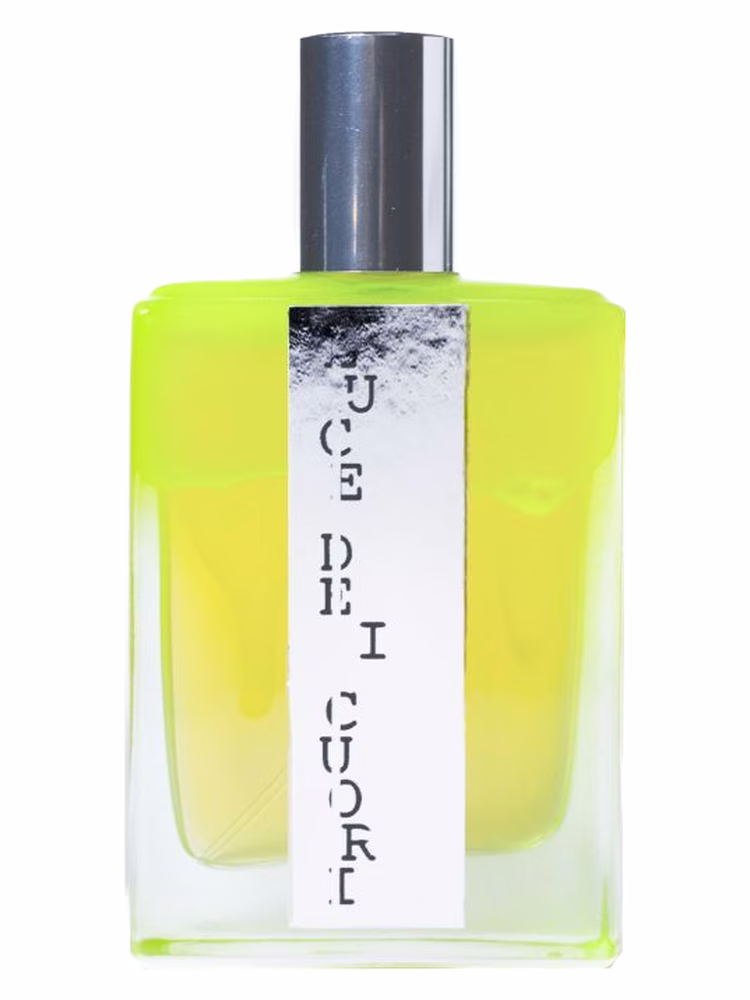 Filippo Sorcinelli Luce dei Cuori