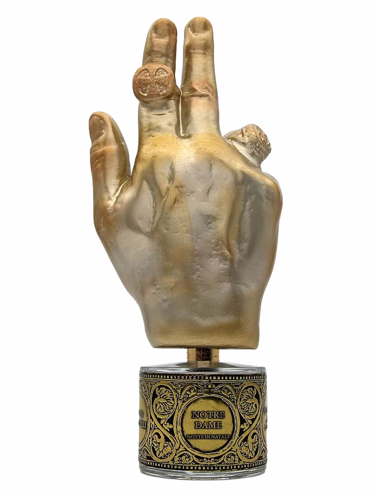 Filippo Sorcinelli Notre Dame Notte di Natale