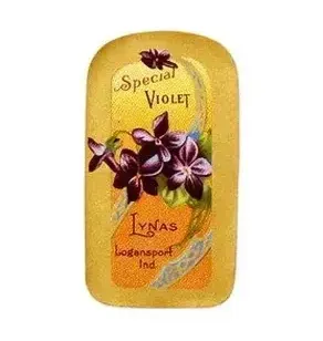 James Bond 007 Quantum James Bond 007 After Shave Lotion