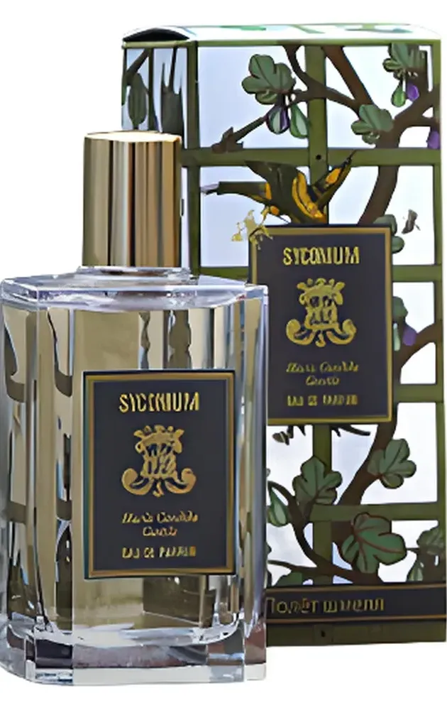 Maria Candida Gentile Syconium