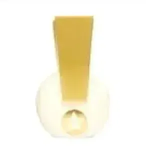 Mauro Lorenzi Septimontium - Caelius