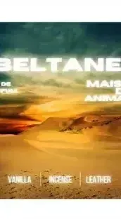 Nabeel Mastermind Noir