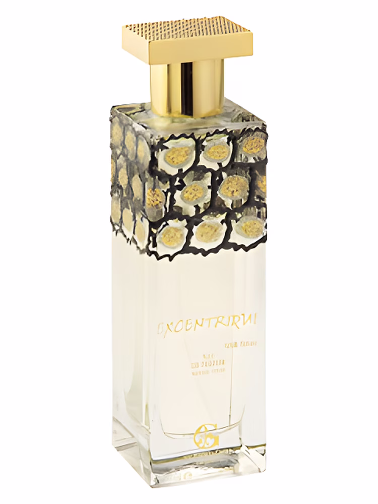 Paolo Gigli Excentrique pour Femme