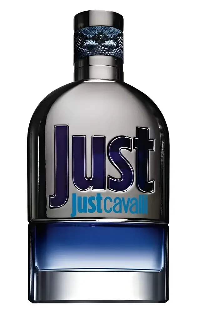 Roberto Cavalli Just Cavalli Him