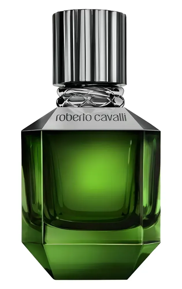 Roberto Cavalli Paradise Found for Men