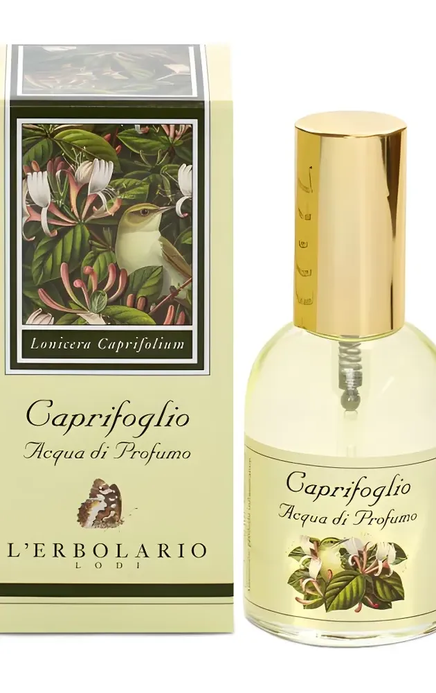 Santa Maria Novella Caprifoglio