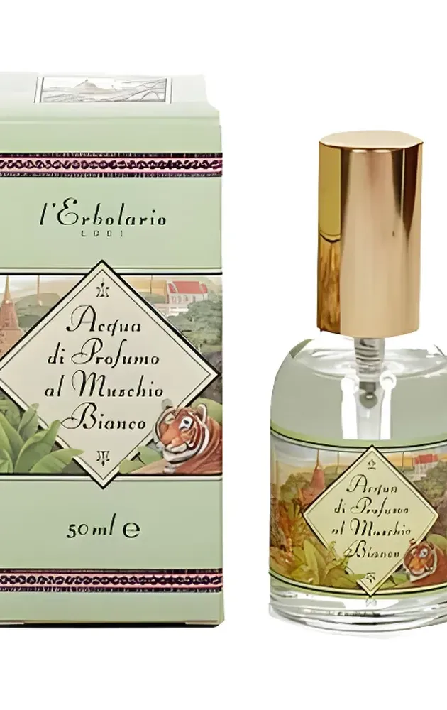 Santa Maria Novella Muschio