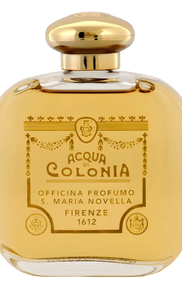 Santa Maria Novella Peau d'Espagne