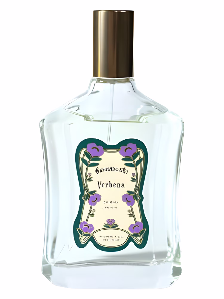 Santa Maria Novella Verbena