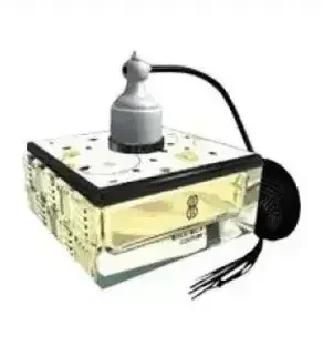 Sweet Anthem Revolution Sweet Anthem Eau de Parfum