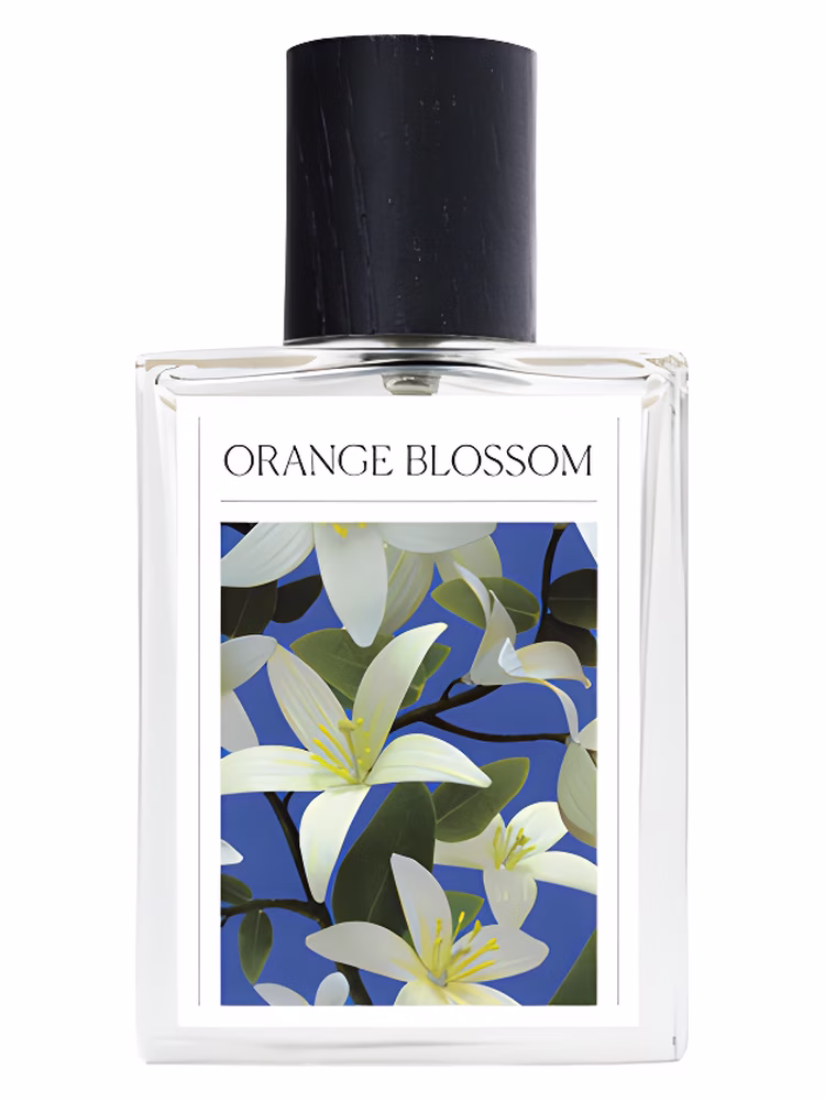 The 7 Virtues Afghanistan Orange Blossom