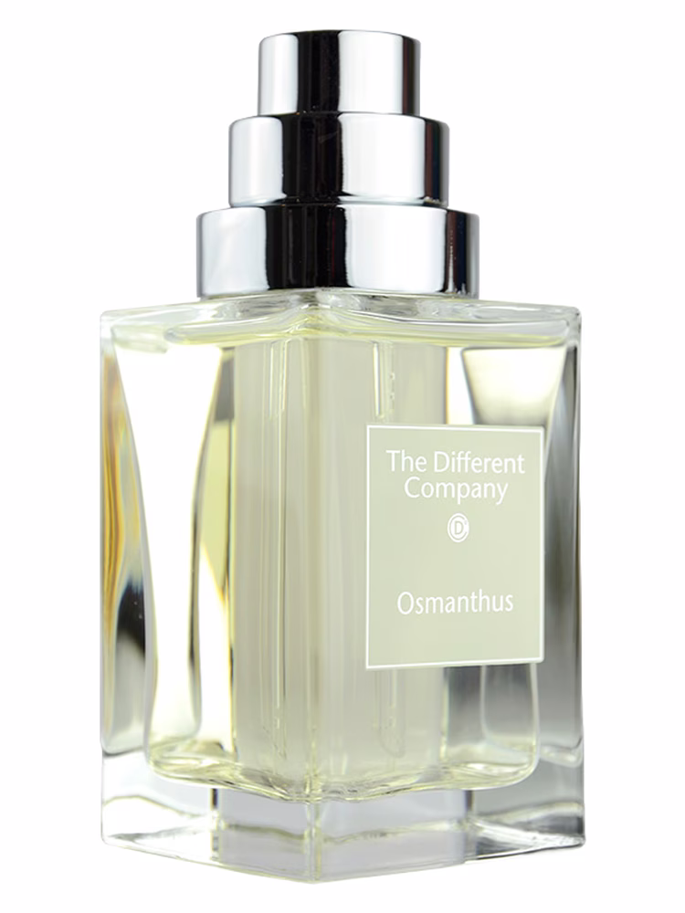 The Different Company Osmanthus