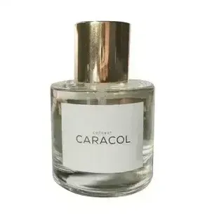 What We Do Is Secret / A Lab on Fire California Snow