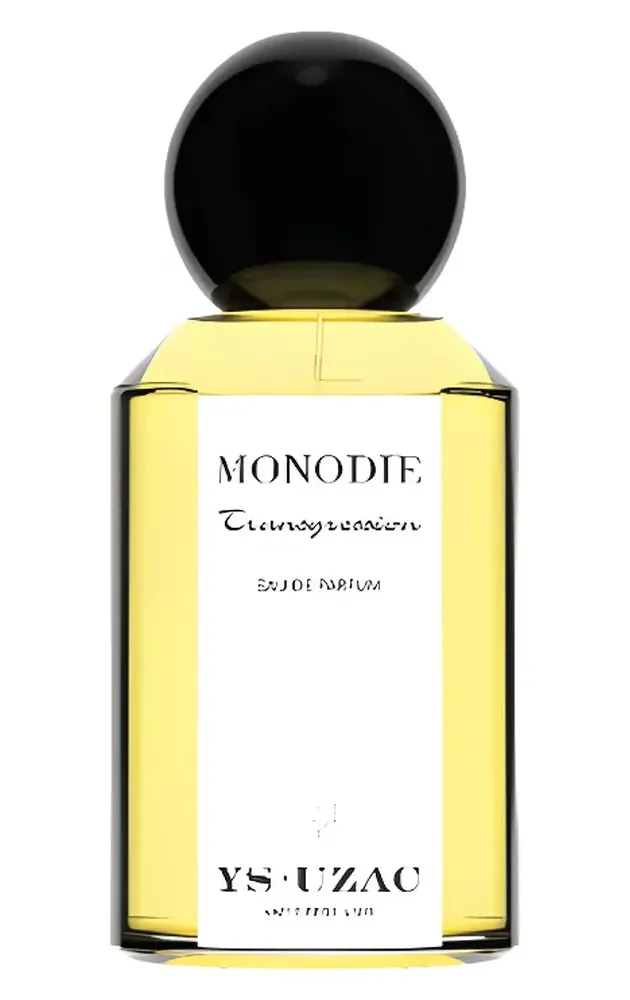 YS Uzac Monodie - Transgression