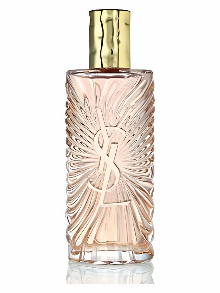 Yves Saint Laurent Saharienne