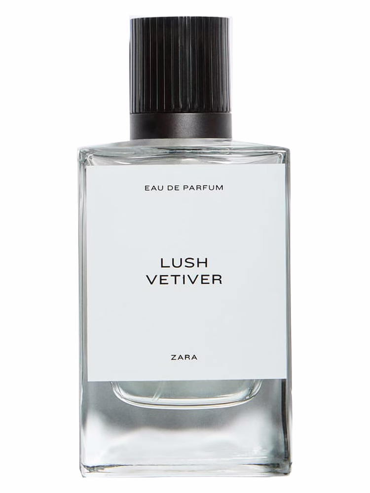 Zara Lush Vetiver