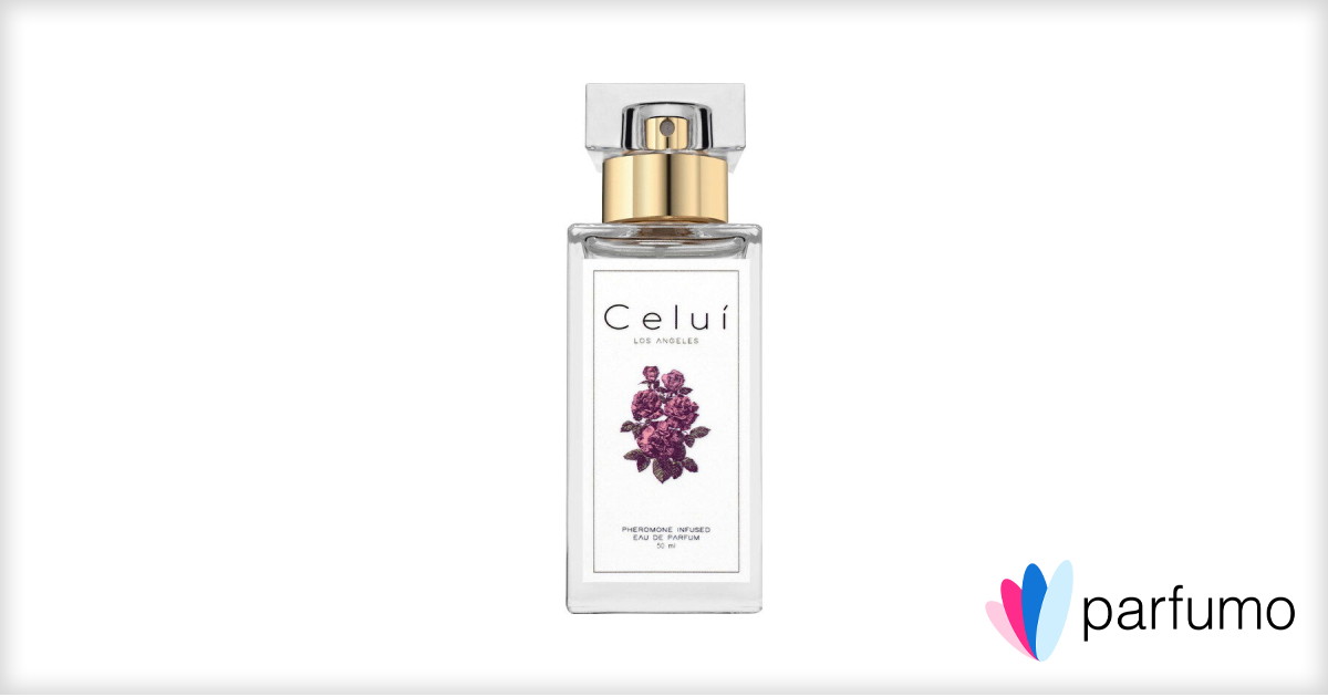 Botanicae Expressions Matin A Mogador