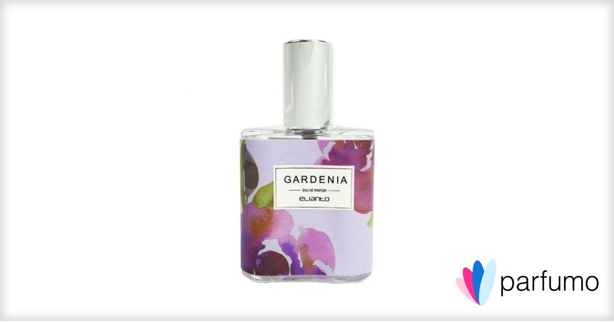 Bottega Veneta Illusione Tonka Solaire