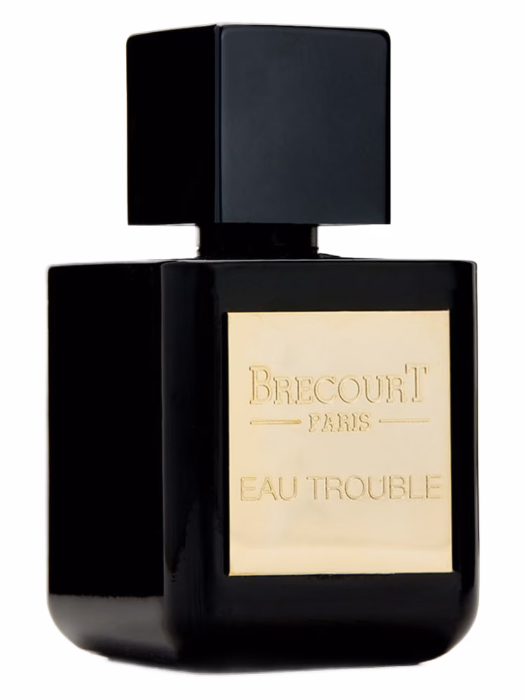 Brecourt Eau Trouble