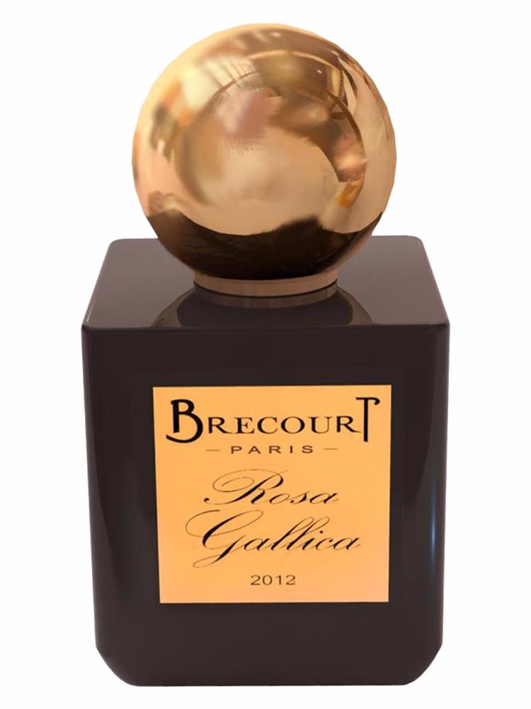 Brecourt Rosa Gallica