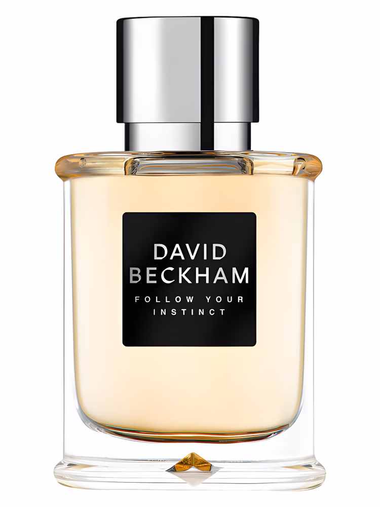 David Beckham Follow Your Instinct David Beckham Eau de Toilette