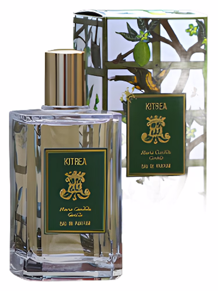 Maria Candida Gentile Kitrea