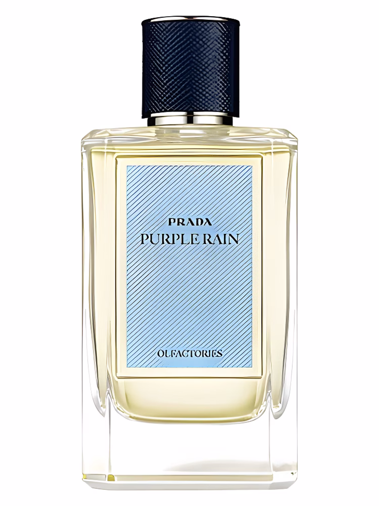 Prada Purple Rain