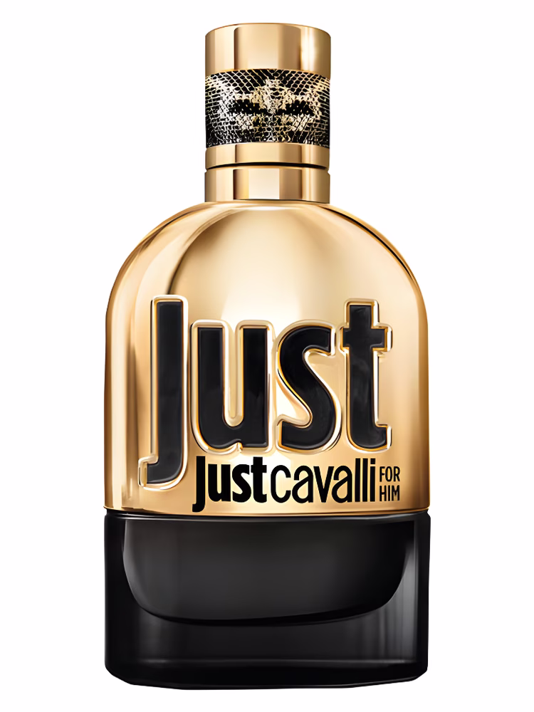 Roberto Cavalli Just Cavalli Gold for Him