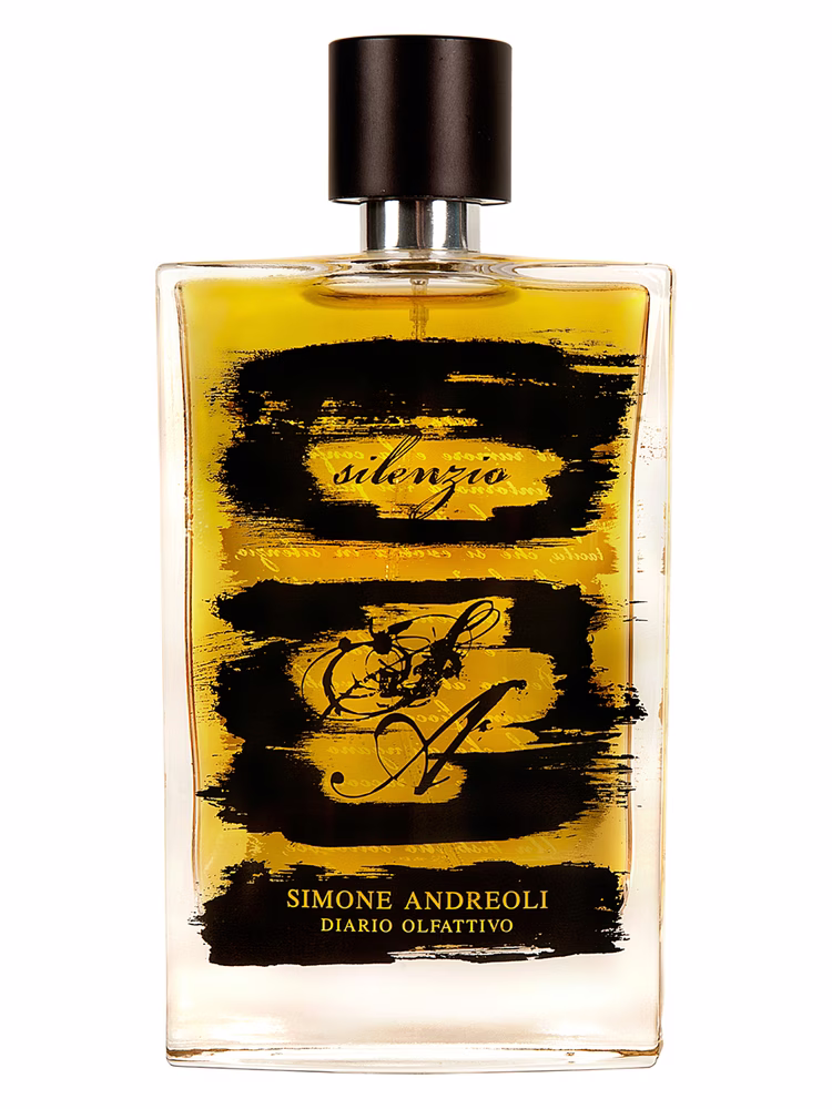 Simone Andreoli Silenzio