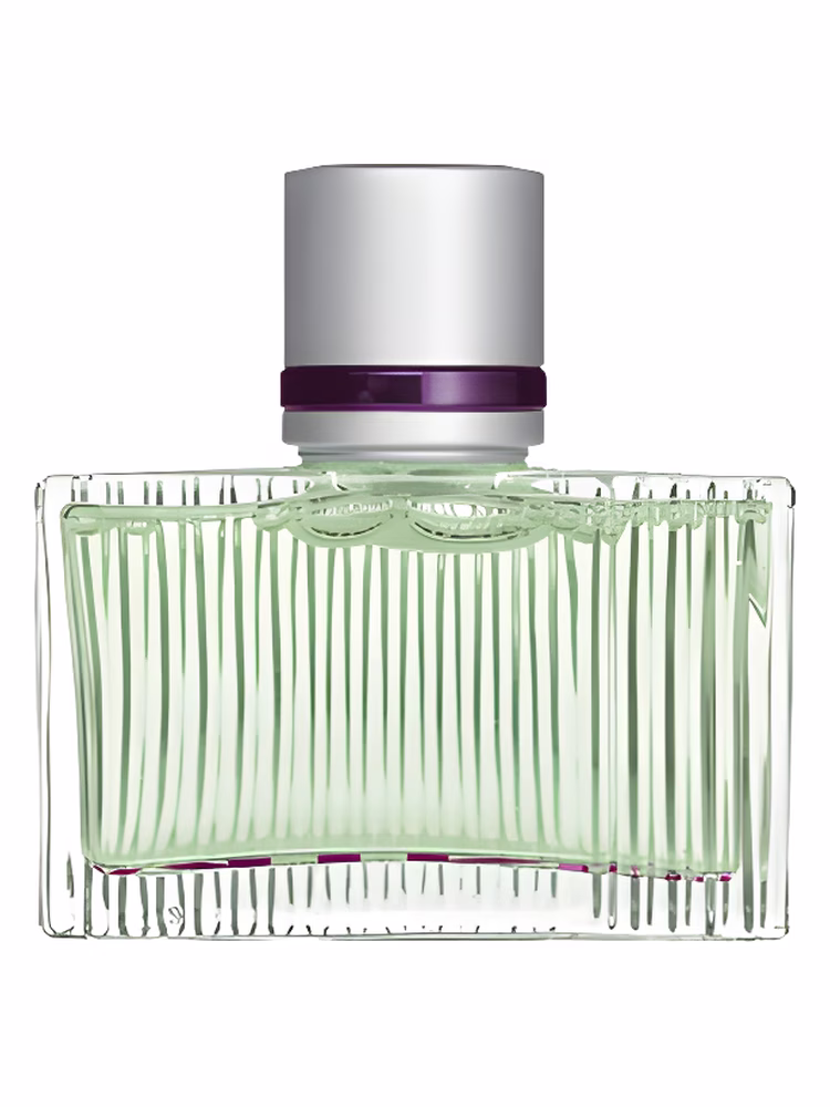 Toni Gard Mint Woman