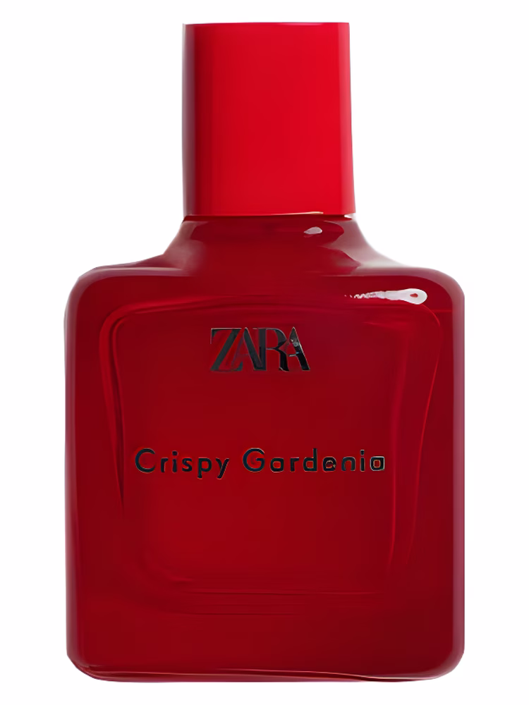 Zara 02 Crispy Gardenia